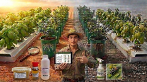 Especialista en Sanidad Vegetal para Hidrocultura