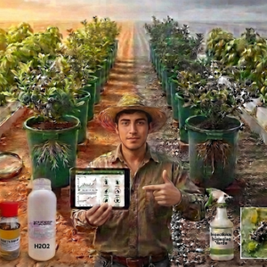 portada de curso fitosanitario